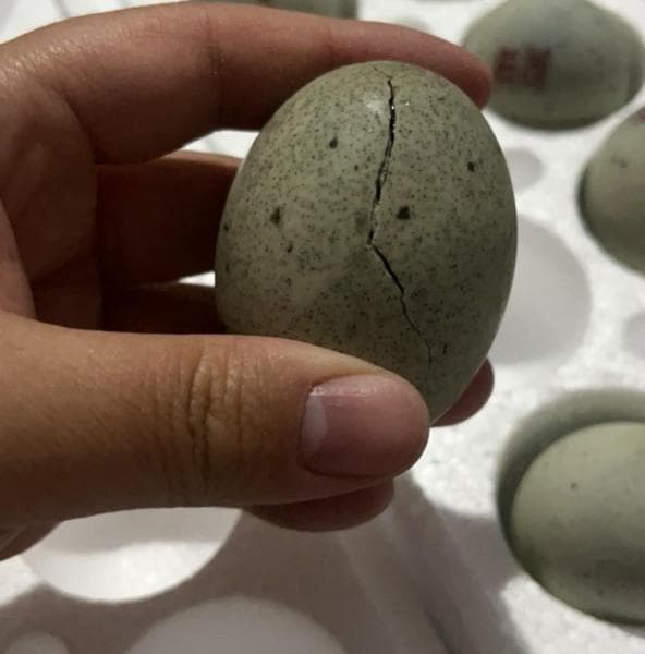 家庭版松花蛋肠制作教程
