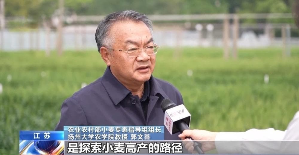 科技潜力转化为现实产量 探索小麦高产路径