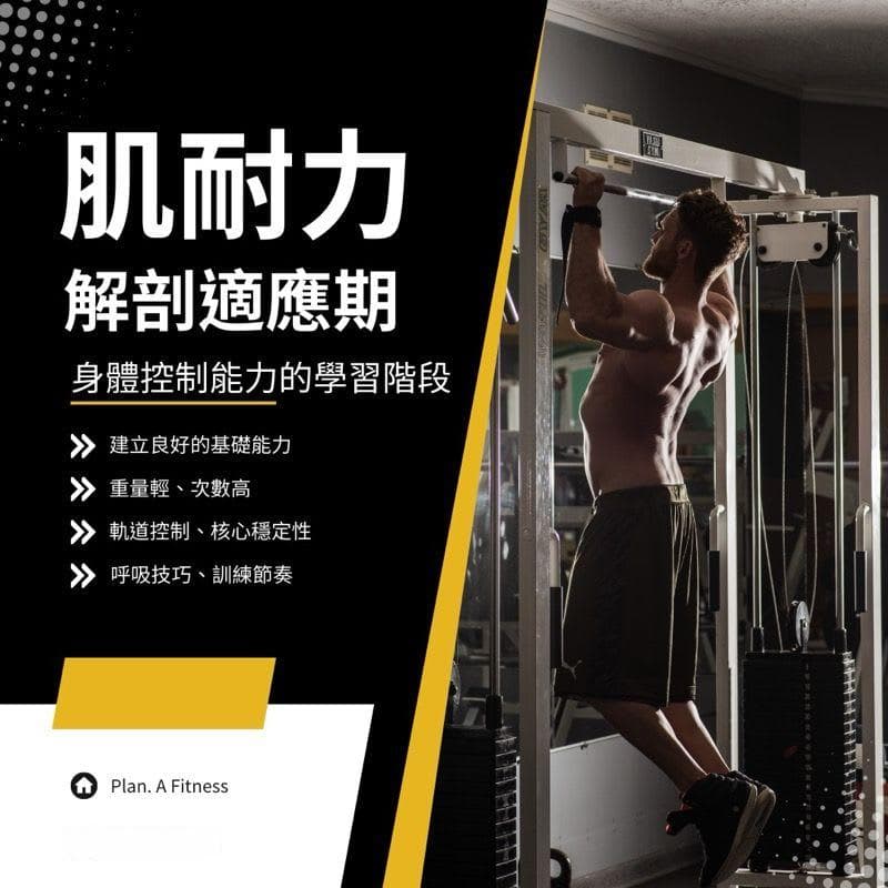 肌力体能训练的新手入门课：认识“肌耐力”、“肌肥大”与“爆发力”训练