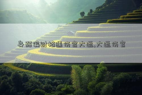八字命理：身弱偏财格遇伤宫大运的影响与应对
