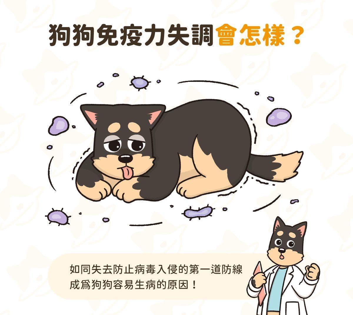 狗狗免疫力失調怎麼辦？3 招教你全面提升狗狗免疫力！