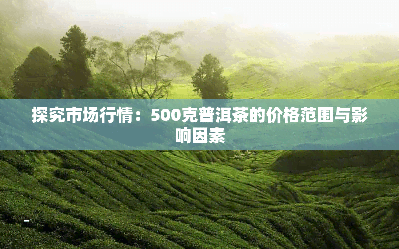 探究市场行情：500克普洱茶的价格范围与影响因素