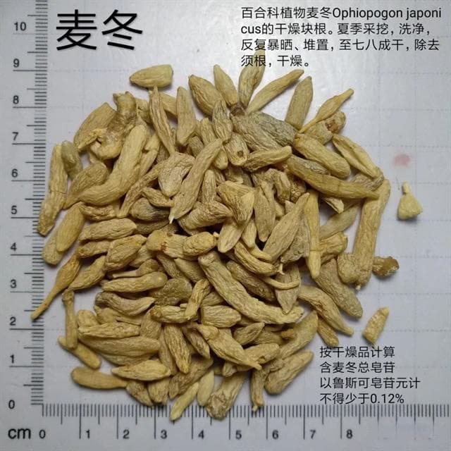 麦冬及山麦冬的鉴别