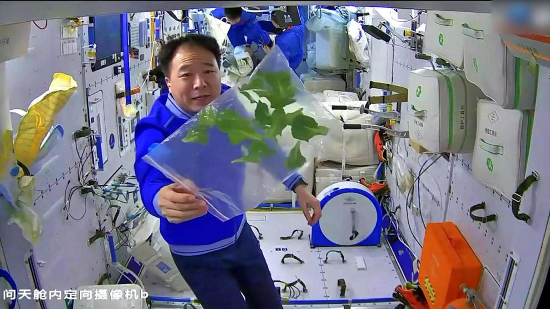 把菜种到天上去，再从天上种回土里，神十九延续空间站的太空菜园