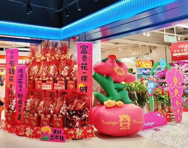 她在云南做“最浪漫的工作”，全网圈粉超300万，还被央视邀请
