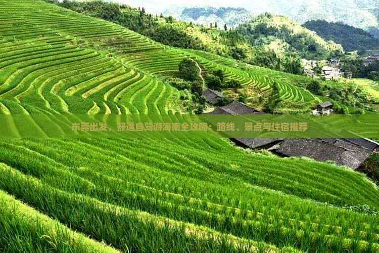 东莞出发，舒适自驾游海南全攻略：路线、景点与住宿推荐