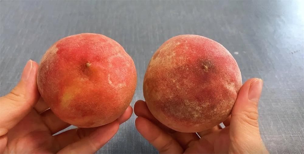 挑选桃子的方法