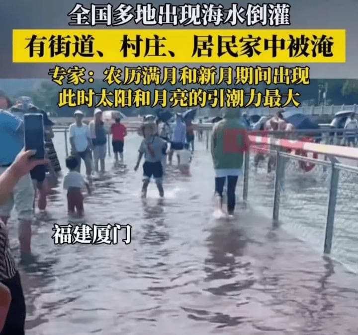 揭秘2024年罕见大潮：六大因素引发我国东部沿海百年一遇的涨潮事件