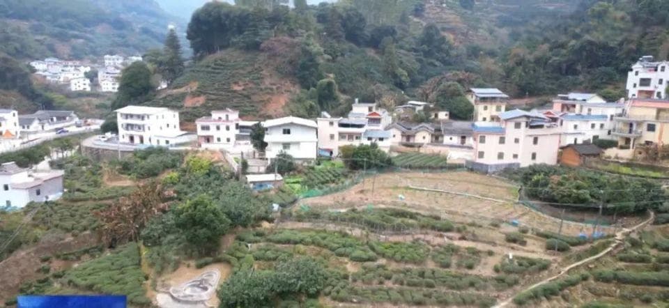 广东梅州市阴那村：茶旅融合助力乡村振兴