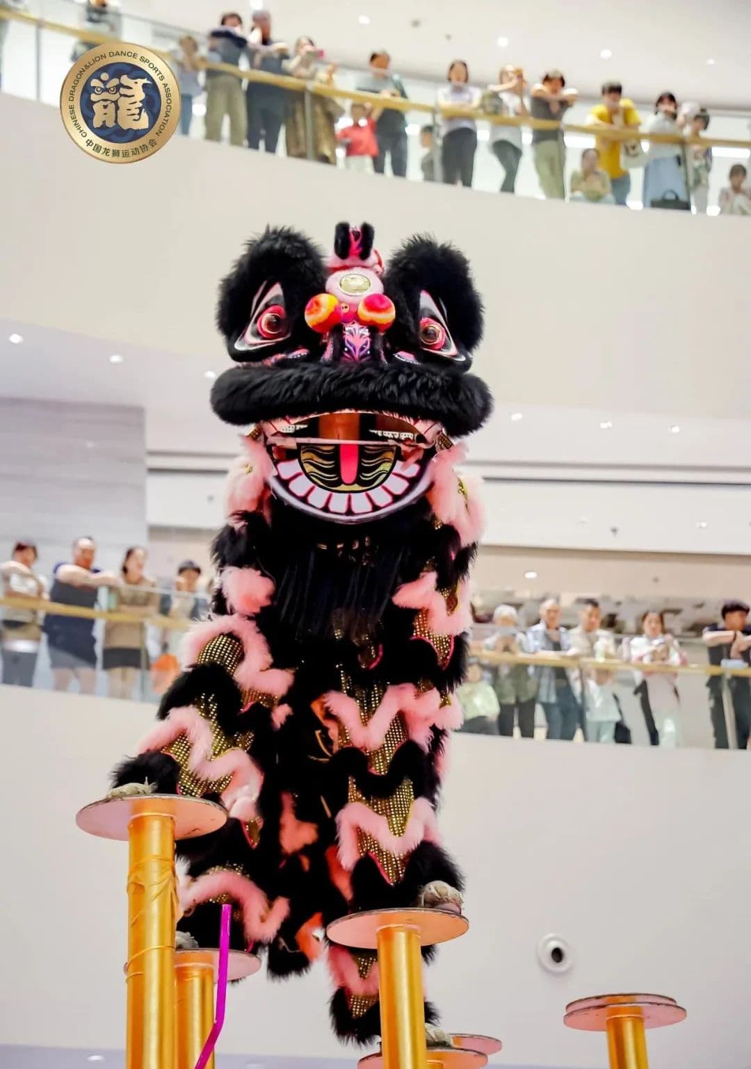2024年世界华人狮王争霸赛