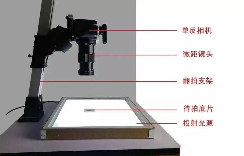 从扫描到拍摄：家庭老照片数字化保存指南