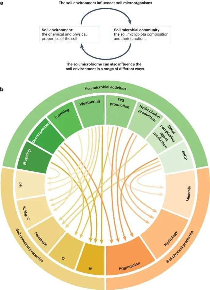 Nature综述 | 2024：微生物群落和土壤性质之间的相互作用