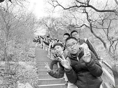 班主任应成为家校沟通的行家里手