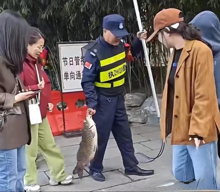 “网红猪鲤”疑撑死背后：游客热情投喂拦不住，多地鹿熊等因投喂死亡