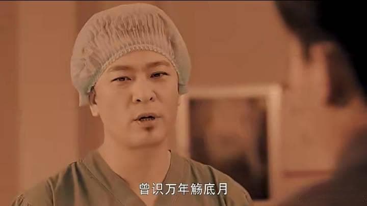 重温《灵魂摆渡》影视剧、小说系列与隐藏的花语
