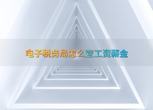 电子税务局怎么查工资薪金