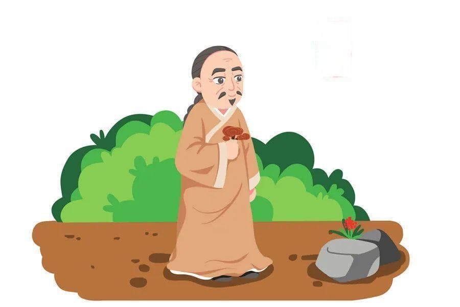 叶天士用夏枯草、菊叶的三大特色，堪称经典