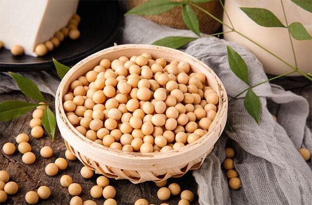 黄豆可以存放多久？干黄豆这样保存不易坏