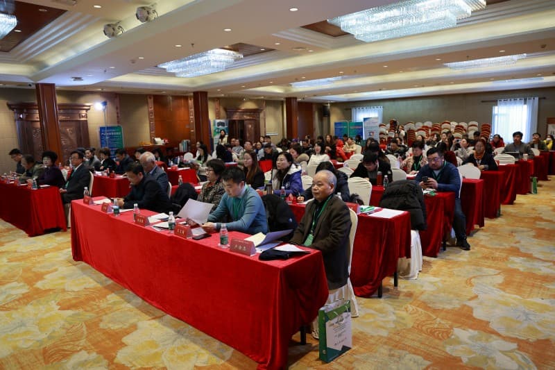 专家解析：青少年心理健康问题的现状与应对策略