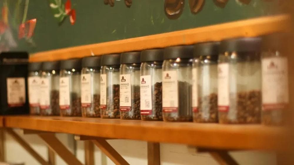 单品、拼配、SOE？用什么豆做出来的意式奶咖最好喝？拿铁咖啡怎么做？