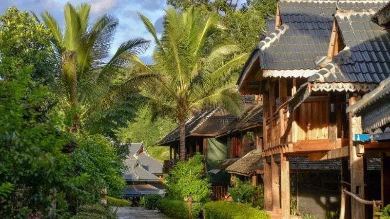 乐游西双版纳｜边境风光+康养度假，这趟勐海之旅你准备好了吗？