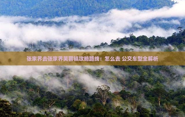 张家界去张家界芙蓉镇攻略路线：怎么去 公交车型全解析