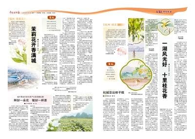 福州茉莉花茶：千年古城的东方香韵，远销40国