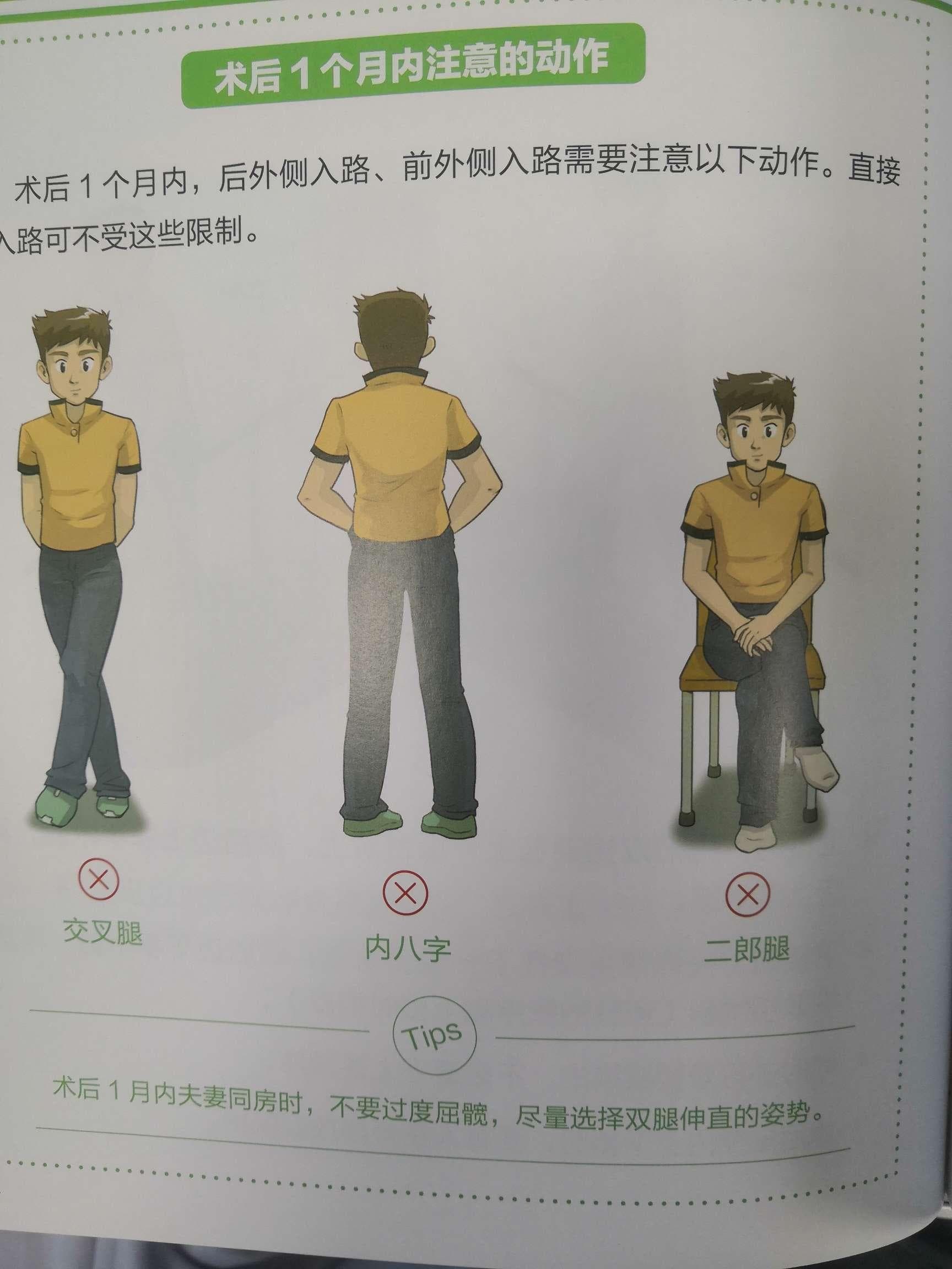 髋关节置换康复计划