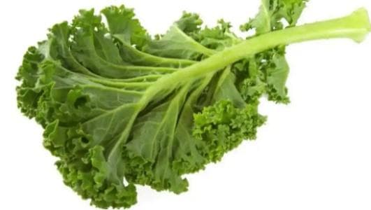 羽衣甘蓝的功效与食用指南：营养价值、功效作用及注意事项全解析