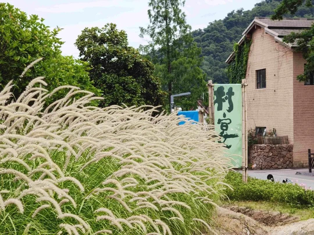 玩转南京人的专属后花园，老山不完全攻略