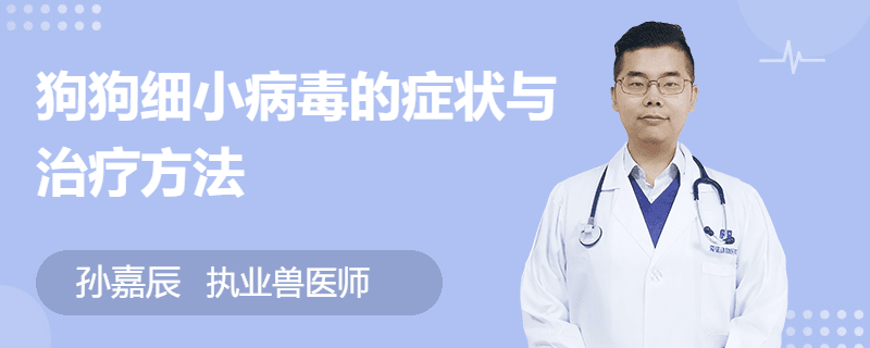狗狗细小病毒的症状与治疗方法