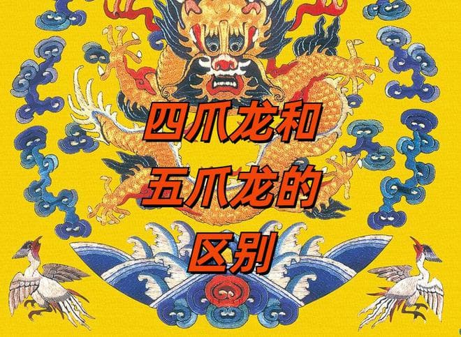 四爪龙和五爪龙的区别，你了解吗？搞不清楚很容易闹出笑话的