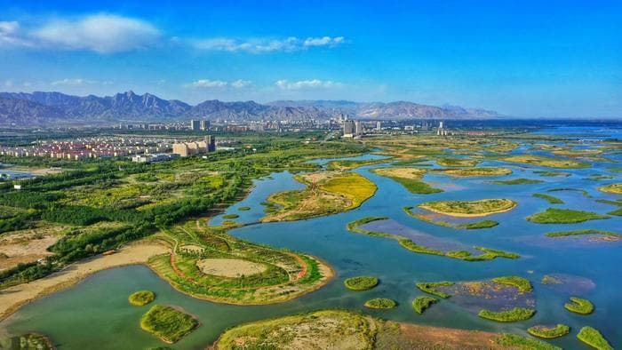 对话星海湖：知否知否，应是“鱼肥湖瘦”