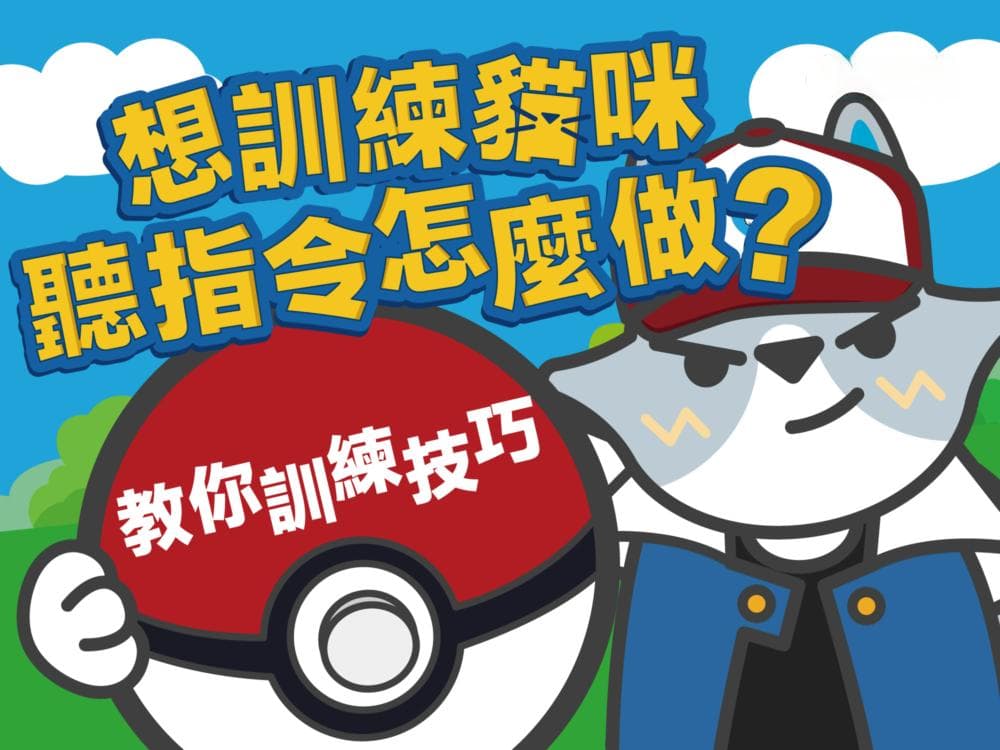 想训练猫咪听指令怎么做？教你训练技巧
