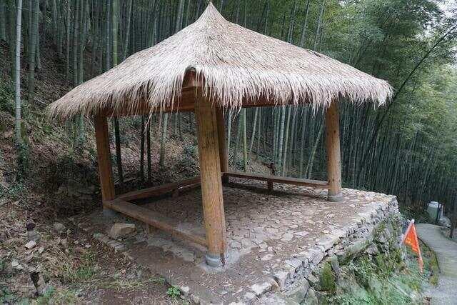 庵、寺、庙的区别