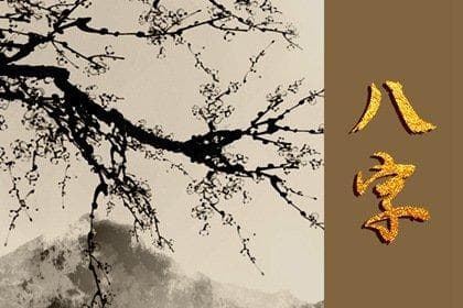 八字推算结婚吉年：四种动婚特征详解
