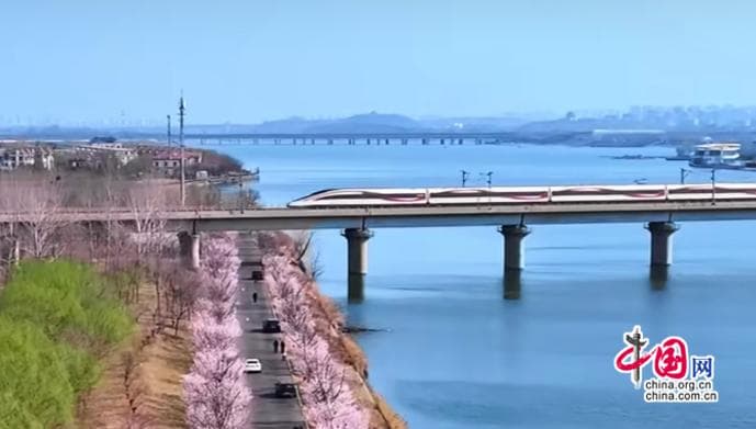 时评：春日赏花旅游列车，盛景中的活力纽带