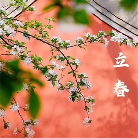 立春是什么意思，立春的寓意和象征