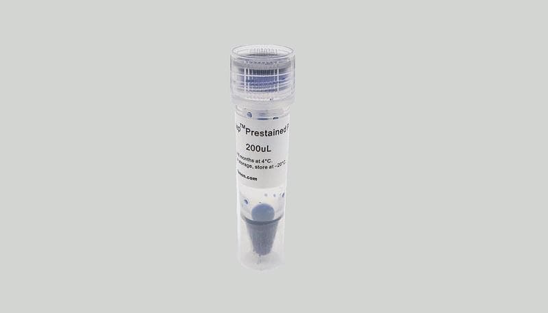 重组蛋白的六种复性方法详解