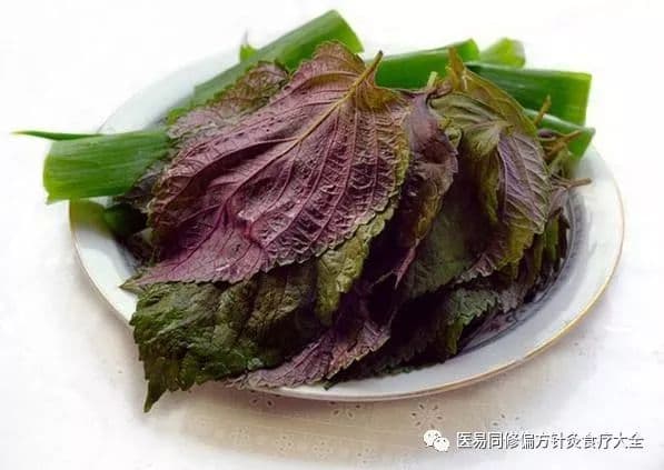 紫苏叶，感冒病毒的克星！怎么使用？有秘诀，还有紫苏梗、苏子...原来都有大用处！