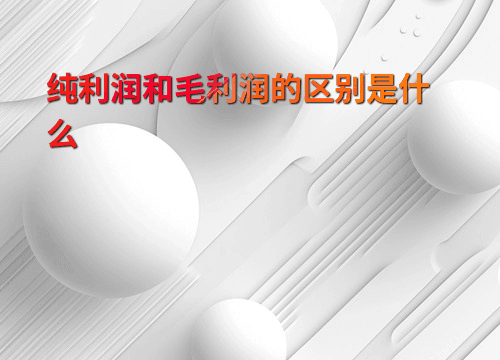 纯利润和毛利润的区别是什么