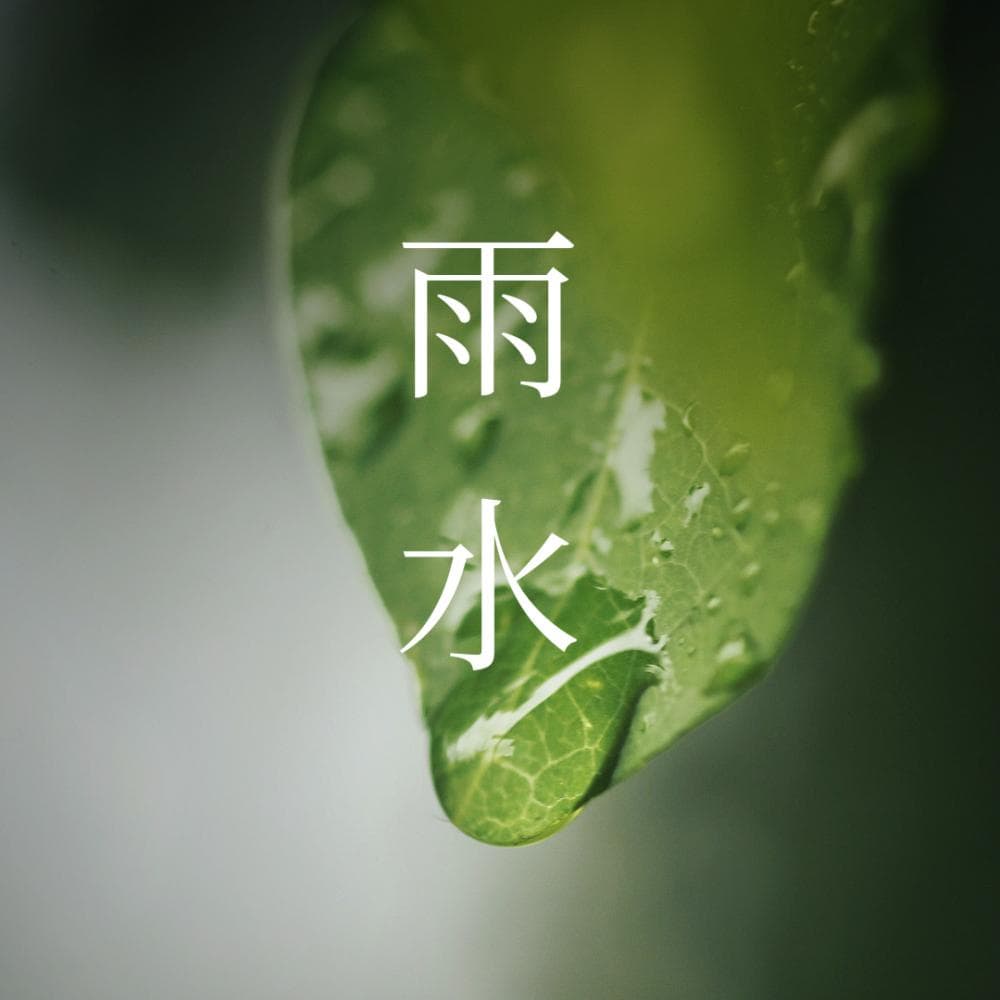 雨水节气不 “营业”，谁在背后搞鬼？