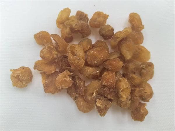 常用中药100味｜龙眼肉：传统中药里的养生瑰宝