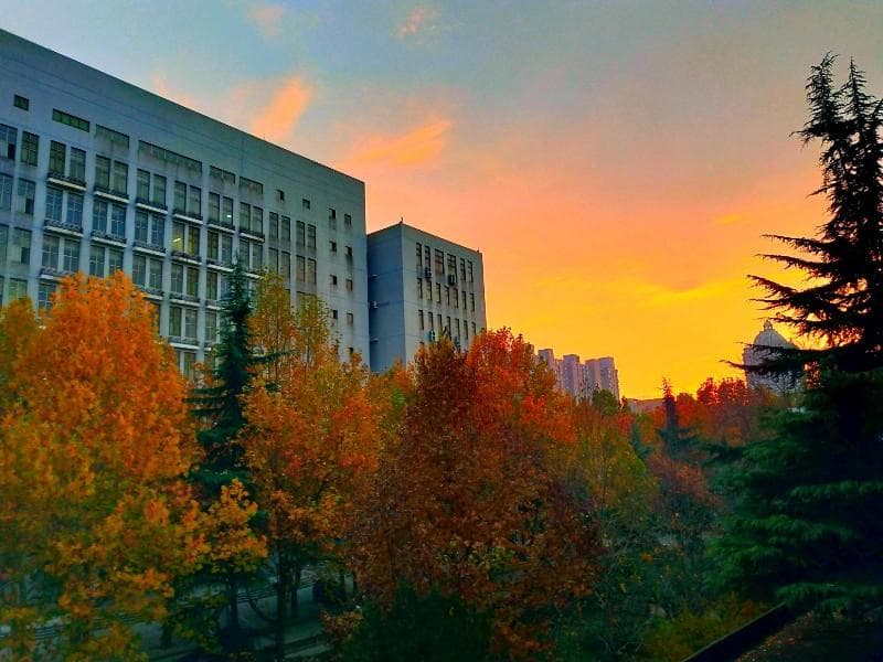 教育部：坚决落实辅导员编制