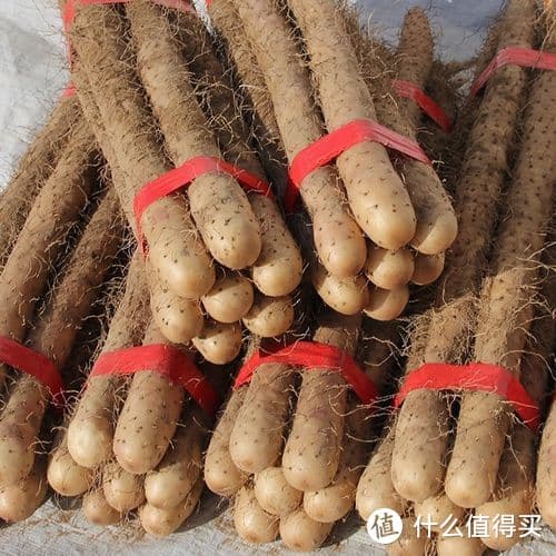 淮山药和铁棍山药的区别？哪种软糯好吃？