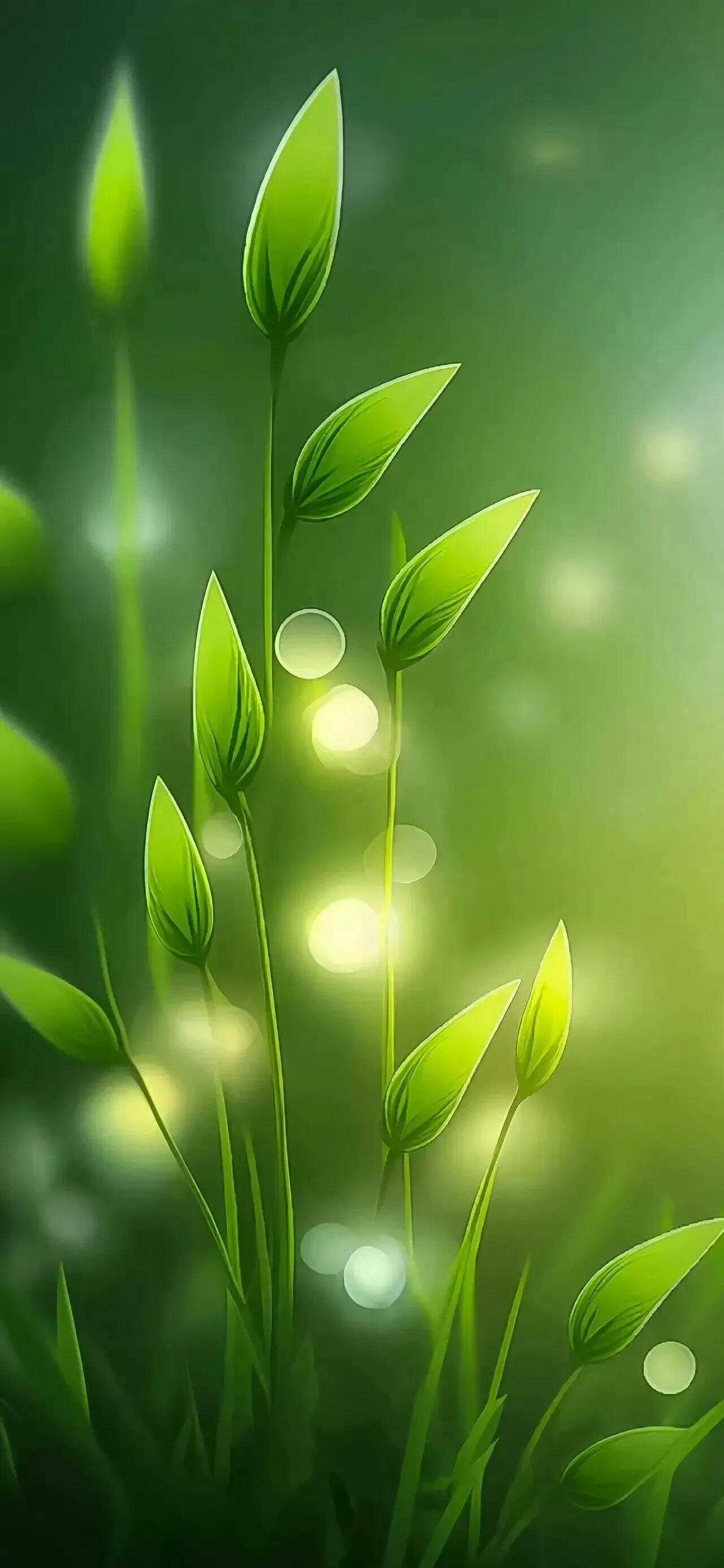 十项修炼助你全面提升，成就更好的自己