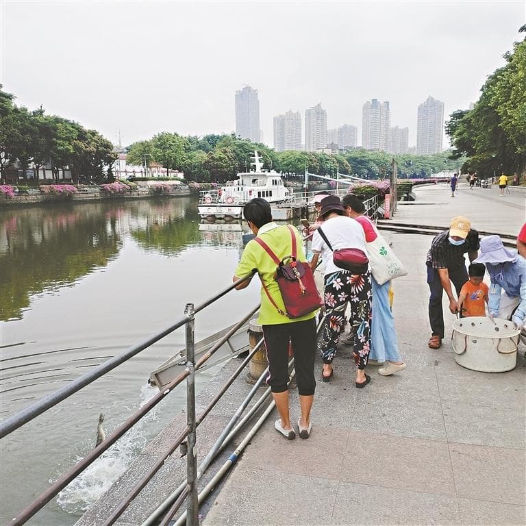 广州出台全国首部放生管理法规，16处放生点规范371宗申请