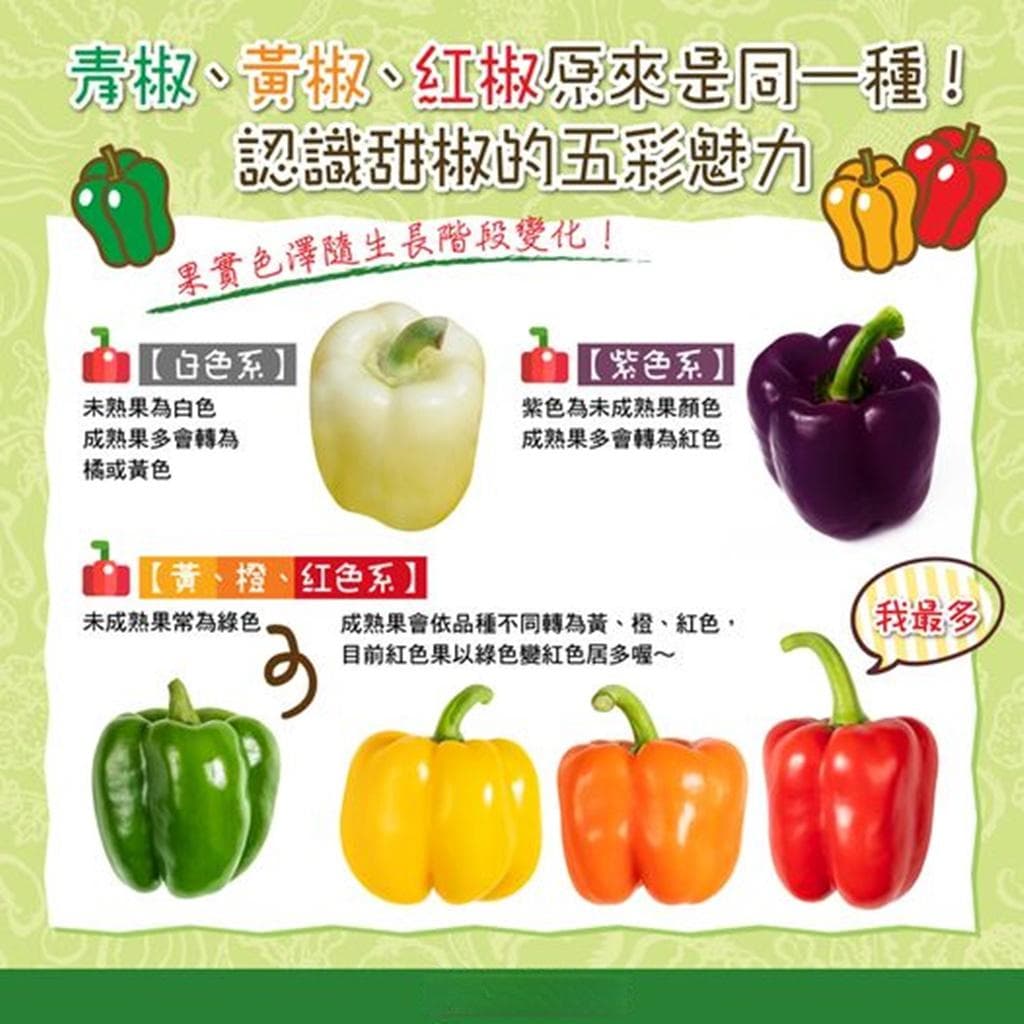 甜椒产季到！甜椒没青椒味能生吃？谭敦慈授妙招 超高维生素C吃起来