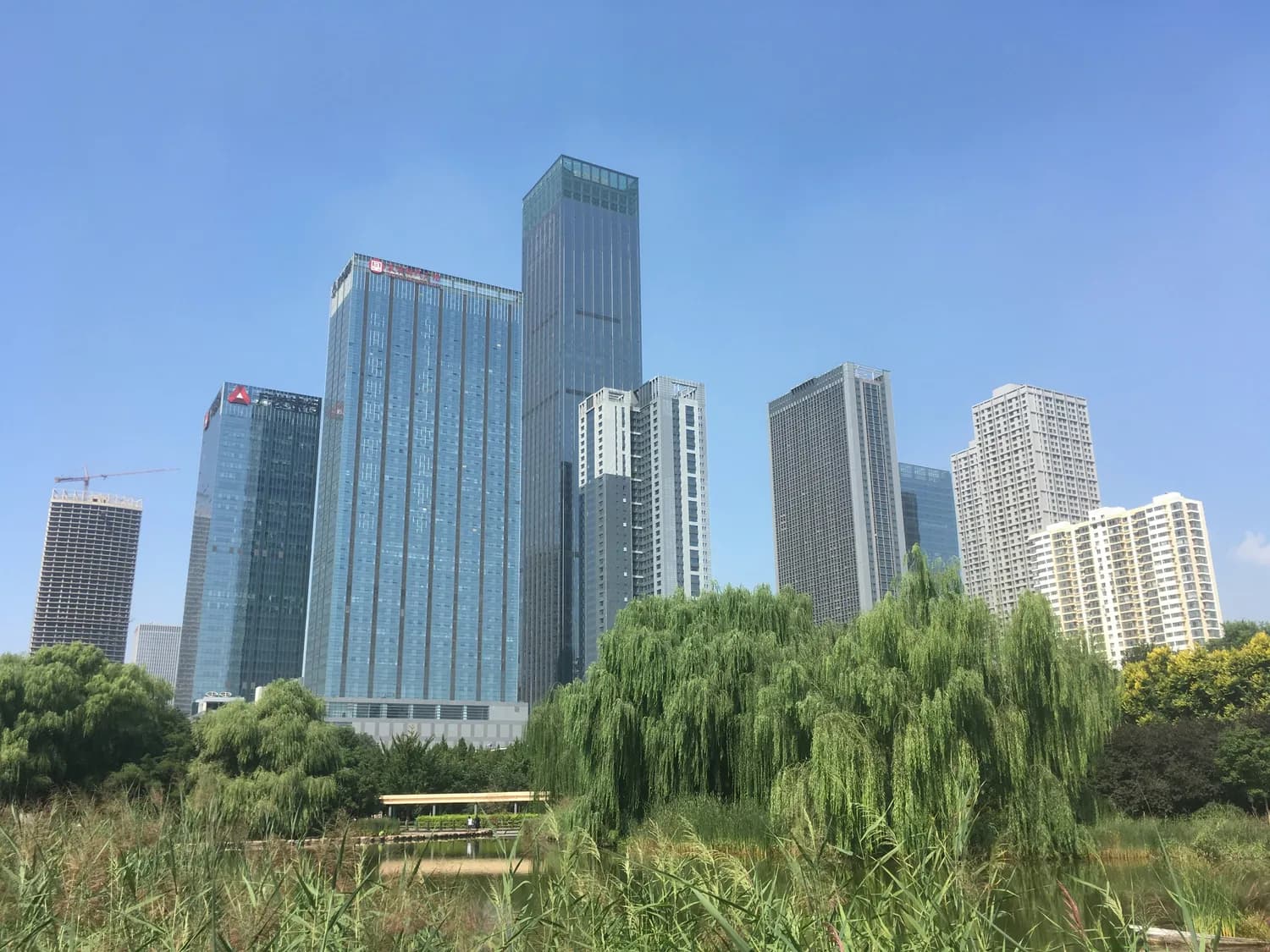 石家庄两大产业引擎：生物医药与电子信息的创新之路