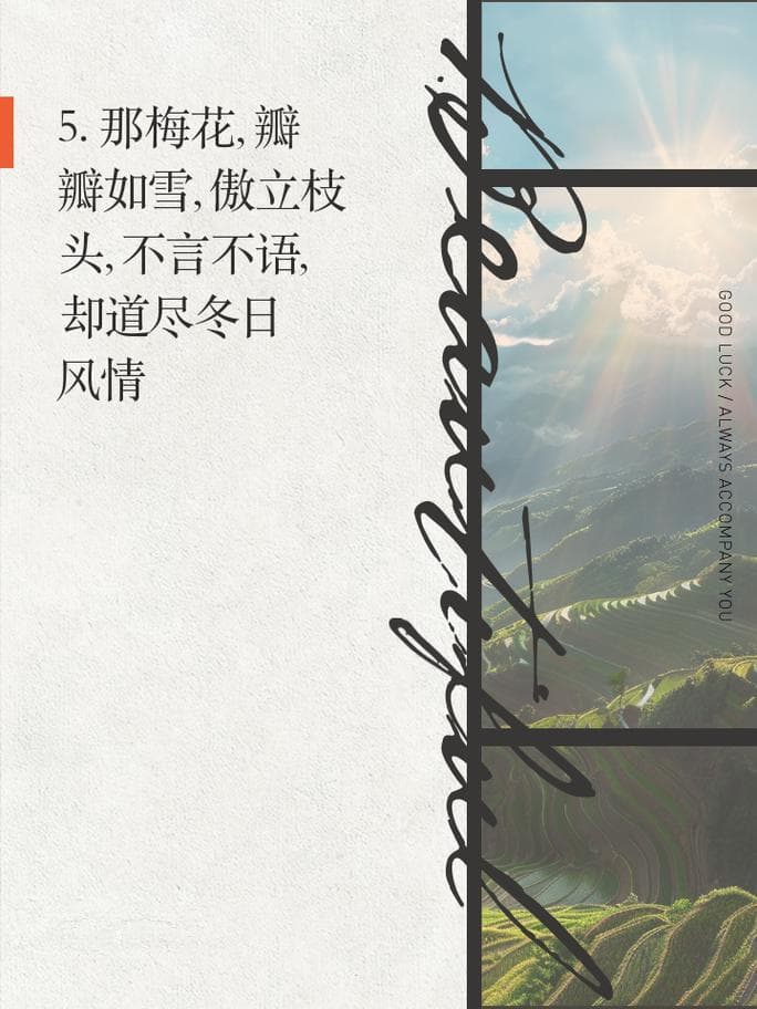 形容梅花美的诗句有哪些？梅花盛放：那些令人惊艳的诗句！